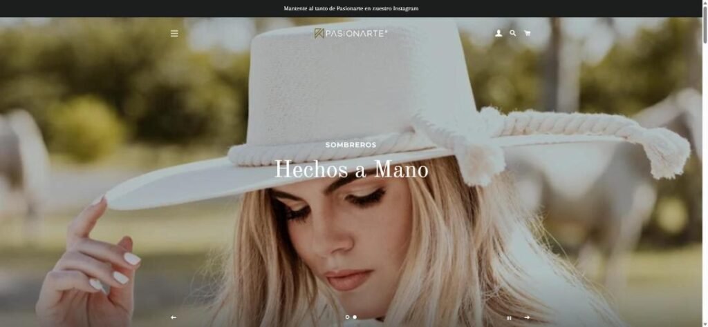 Pasionarte Mexico website screenshot